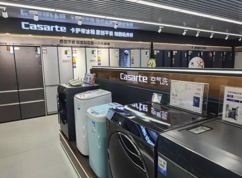 家電產品成年貨 新寵 ,大家電 懶人家電熱度高